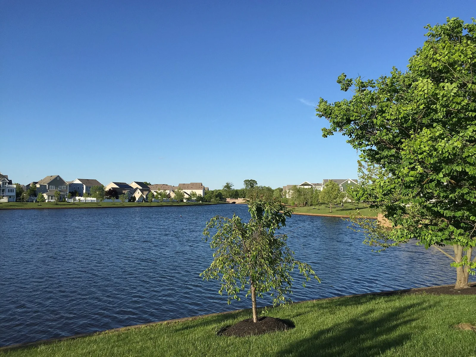 Lake at Robbinsville, NJ