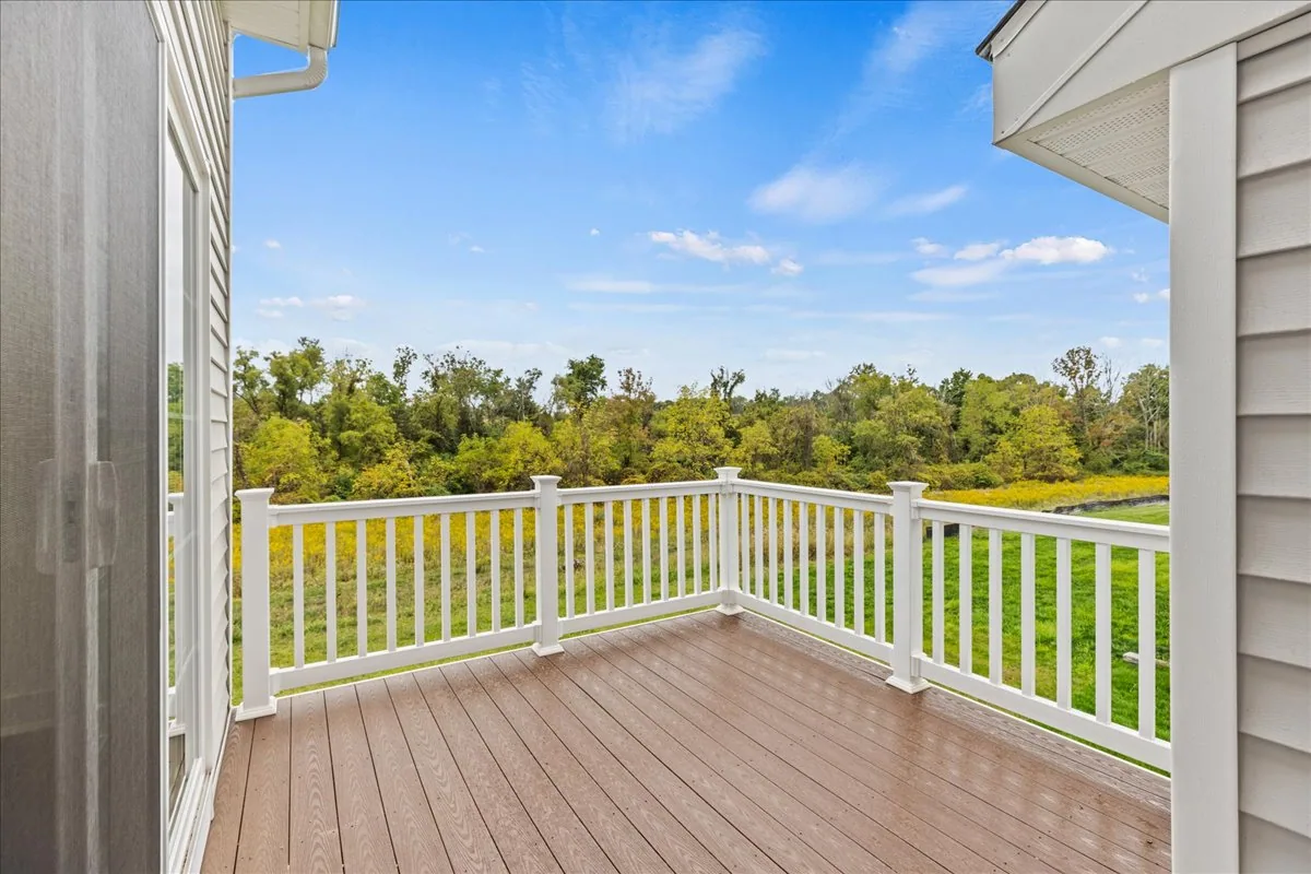 Deck & Backyard